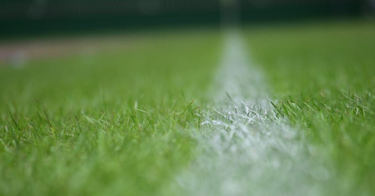 Lawn Services Chandler